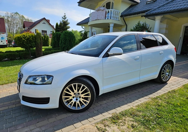 Audi A3 cena 34900 przebieg: 156000, rok produkcji 2010 z Gryfice małe 781